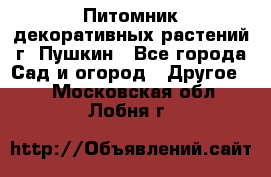 Питомник декоративных растений г. Пушкин - Все города Сад и огород » Другое   . Московская обл.,Лобня г.